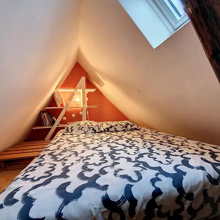 Tonneau - Hypercentre - Cathedrale - Authentique - Duplex Apartment Strasbourg Exterior photo